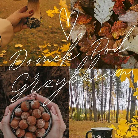 Villa Pod Grzybkiem *