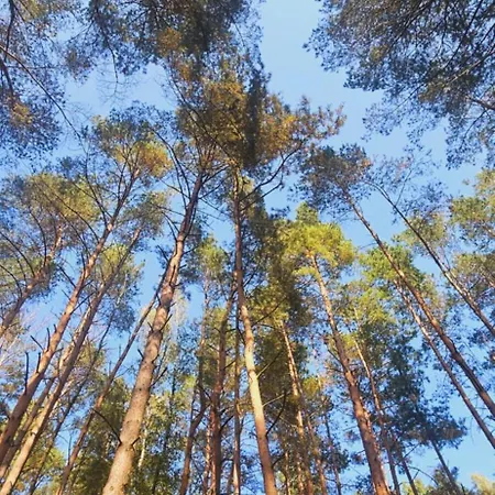 Pod Grzybkiem Villa Dzwierszno Male