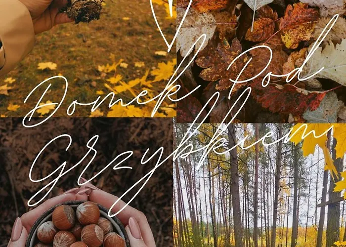 Villa Pod Grzybkiem *