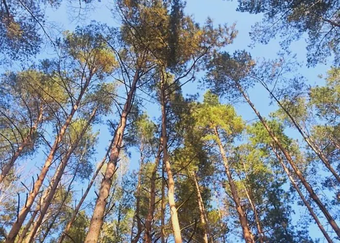Pod Grzybkiem Villa Dzwierszno Male